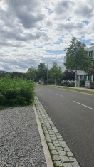 Foto: Bushaltestelle überwuchert 