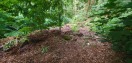 Foto: Gartenabfälle 
