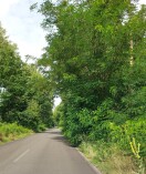 Foto: Verkehrsweg (Strasse) eingeschränkt 