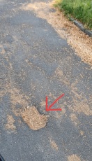 Foto: Schlagloch 