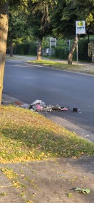 Foto: Ausgeschüttete Mülltonne 