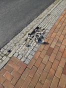 Foto: Kleinpflaster locker 