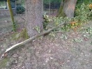 Foto: astbruch 