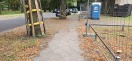 Foto: Laubvermüllung am Friedrich Gymnasium  