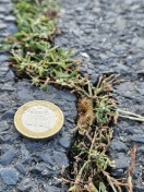 Foto: Straßenreperatur per ID 323880 nicht ausgeführt 