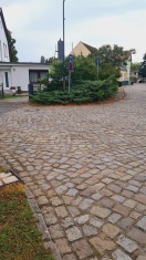 Foto: Wacholderbusch versperrt den Fußgängerweg 