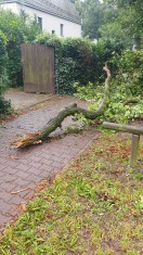Foto: Astbruch 