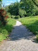 Foto: Der Bürgersteig wächst zu 