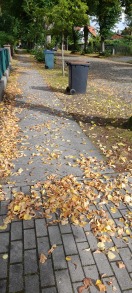 Foto: Starker laubfall  