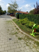 Foto: Tätigkeit der Gartenbau- Firma  