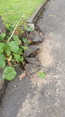 Foto: Starke Straßenschäden 