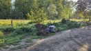 Foto: Wilde Deponie  