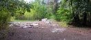 Eberswalde: Illegale Müllensorgung  Foto: Illegale Müllensorgung