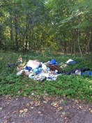 Foto: Hausmüll im Wald entsorgt 