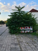 Foto: Gehweg/Radweg wächst zu 