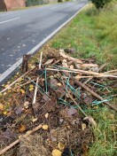 Foto: müllablagerung 