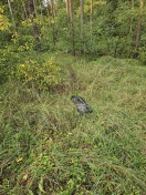 Foto: Müll im Wald 