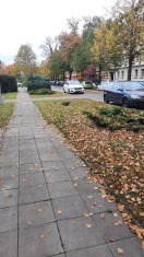 Foto: Behinderung durch parkende Autos 