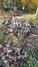 Foto: Illegale Entsorgung von Wellaspest 