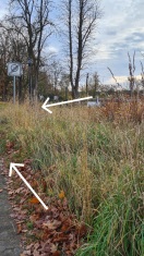 Foto: Verkehrssicherungspflicht 