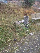 Foto: flege des Grünbereichs und Müll Entsorgung 