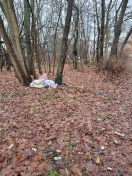 Foto: Wilde Müllentsorgung 