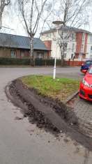 Foto: Strassenbegleitgrün 