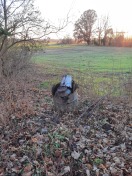 Foto: Thyrow | Thyrower Bahnhofstr. 12 gegenüber | Sondermüll/Sperrmüll 