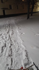 Foto: kein oder nur mangelhafter Winterdienst 