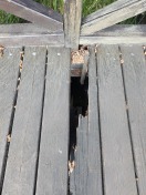 Foto: Diele auf Brücke im Kurpark eingetreten 