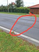 Lübbenau/Spreewald: Erschütterungen durch Bodenwelle iVm hohem Verkehrsaufkommen  Foto: Erschütterungen durch Bodenwelle iVm hohem Verkehrsaufkommen