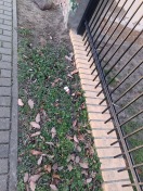 Foto: Glasscherben neben Kita 