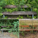 Foto: Eingewachsene Parkbänke im Gewerbegebiet  