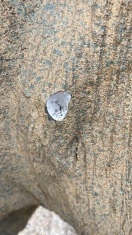 Foto: Spielplatzpfusch 