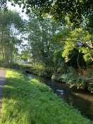 Foto: Einkaufswagen liegt im Priorgraben 