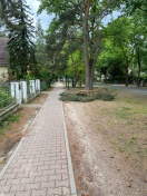 Foto: Sturmschaden Astbruch 