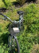 Foto: Fahrrad im Straßengraben 