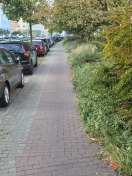 Foto: Lichtraumprofil zugewachsen 