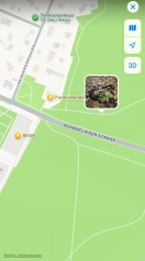 Foto: Schläuche im Wald 