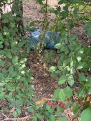 Foto: 3 Müllsäcke (graue Säcke) und 1 Kühlbox wild abgekippt 