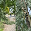 Foto: Astabbruch bei Wind 
