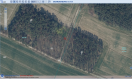 Foto: Asbestplatten im Wald 