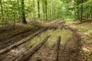Foto: Touristische Waldwege in Richtung Molchow in der Fahrradsaison unpassierbar 