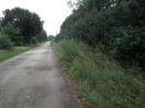 Foto: Wildwuchs der Weg wächst langsam zu , die Hecke ist weit über die Grenze hinaus. 