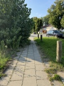 Foto: Vegetation auf Gehweg 