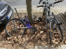 Foto: Alte Fahrräder abgestellt u. Laub  