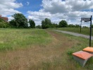 Foto: Wege wieder unbenutzbar durch Wildwuchs  