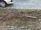 Foto: Straßenbaumabfall 
