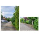Foto: Einschränkung der Durchfahrt und Parkplätze durch Hecken. 
