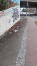 Foto: Gehweg am Zugang zum Bahnhof: Laubrückstände 